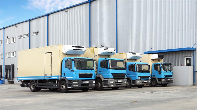 Delicate Supplies Safe: Year-Round Temp Control